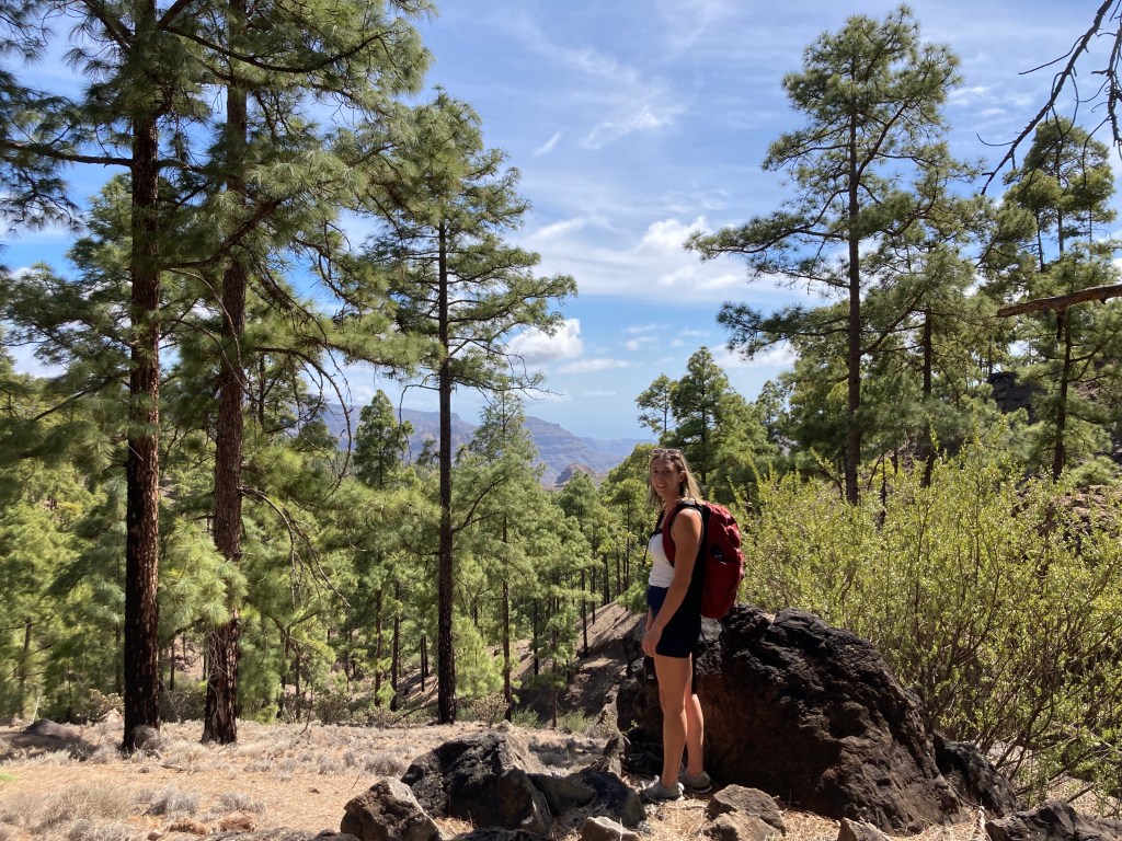 A person standing on a rock in a pine forest, wearing a red backpack, with a mountainous landscape in the background.